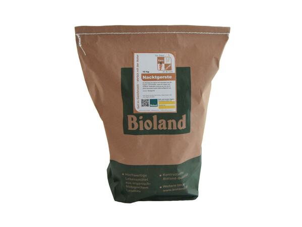 grüne Linse 10kg