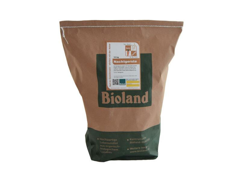 grüne Linse 10kg